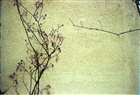 dailyPhoto1
